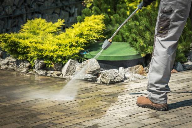 Trusted Chocowinity, NC Pressure Washing Services Experts