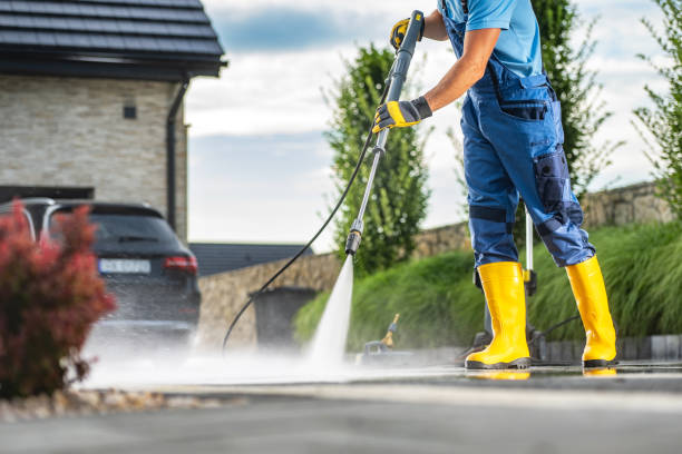 Animal Enclosure Cleaning in Chocowinity, NC
